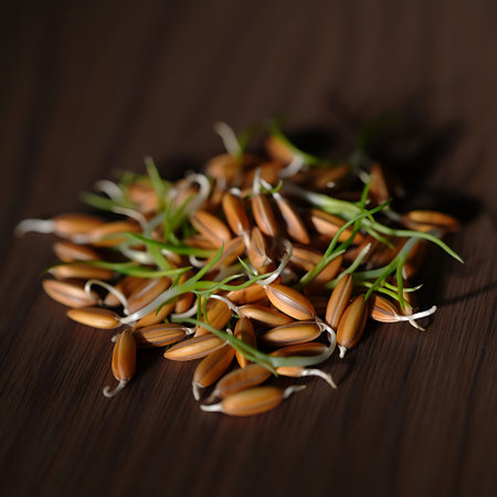 A close up image displays a pile of rice seeds that have begun to sprout The seeds are a light brown color with delicate white roots and vibrant green shoots emerging from them The seeds are scattered on a dark brown surface that provides a contrasting backdrop Highlighting the natural texture and colors of the sprouting grains the photograph offers a detailed view of germination perfect for illustrating concepts related to agriculture health food and the lifecycle of plantsの素材