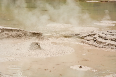 Mud pool in Wai-O-Tapu Thermal Wonderland park near Rotorua in New Zealand, it is the largest mud pool in New Zealandの写真素材