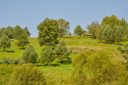 T34 tank in Valley of Death in northern Slovakia close to city of Svidnik, place where heavy fights between Soviets and Germans took placeのeditorial素材