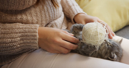 Close up of a grey small kitty lying on the back and playing with a ball of thread on the womans...