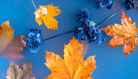 Autumn leaves floating on water surface. Colorful autumn background.の素材