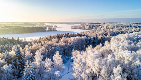 Aerial view of winter forest and lake covered with hoarfrost at sunsetの素材