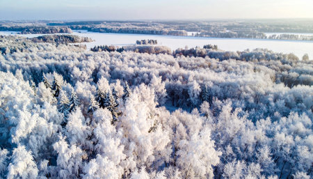 Aerial view of winter forest with snow covered trees. Winter landscapeの素材