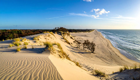 Sand dunes on the Baltic Sea coast in Kiel, Germanyの素材