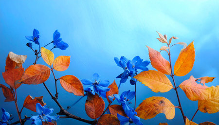 colorful autumn leaves on a blue background, beautiful photo digital pictureの素材