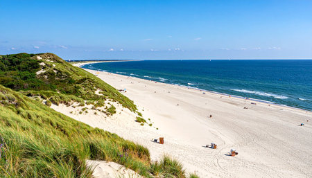 View of the beach and sand dunes on North Sea coast in Germanyの素材