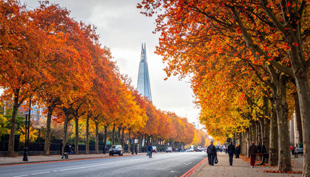 The Eiffel Tower in Paris, France during the fall seasonの素材