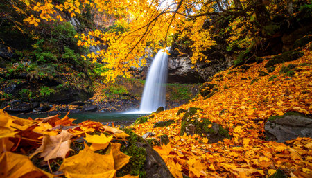 Waterfall in autumn forest with yellow leaves. Beautiful nature scene.の素材