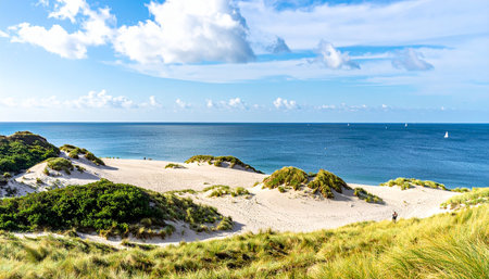 View of the sand dunes on the North Sea coast in Germanyの素材