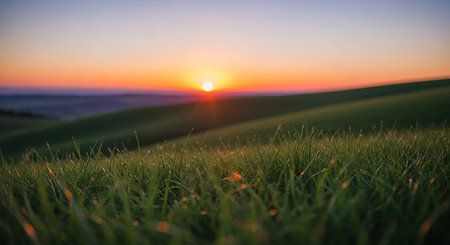 Sunset over a green field with grass and mountains in the backgroundの素材