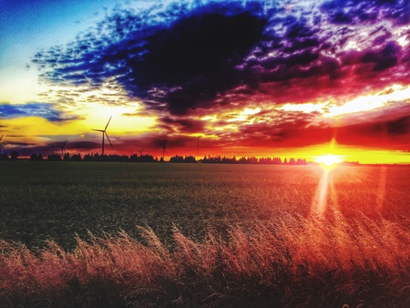 Gorgeous vibrant sunsetの素材