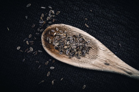 Dill seeds on wooden spoon against black backgroundの素材