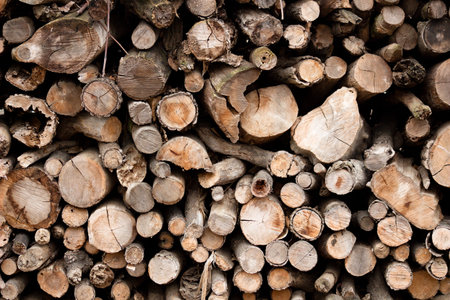 large pile of wooden logs of hard wood for heating in the house