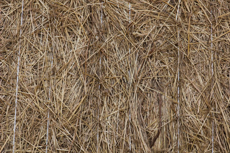 Background from pressed hay on farm