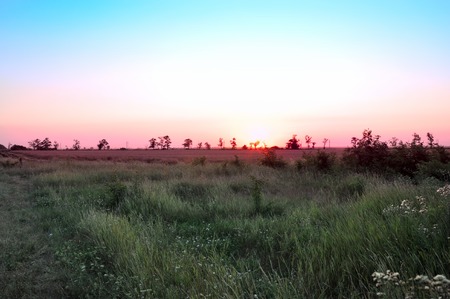 sunset in the steppe of Ukraine near the Azov Seaの写真素材