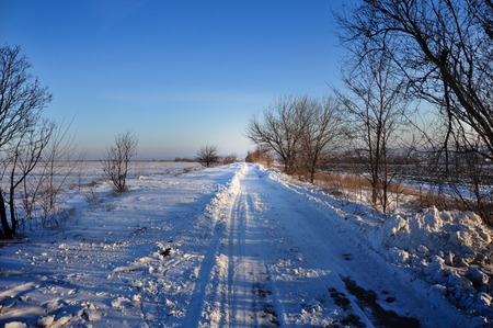 winter landscape: snow-covered road stretches into the distance and a cloudless skyの写真素材