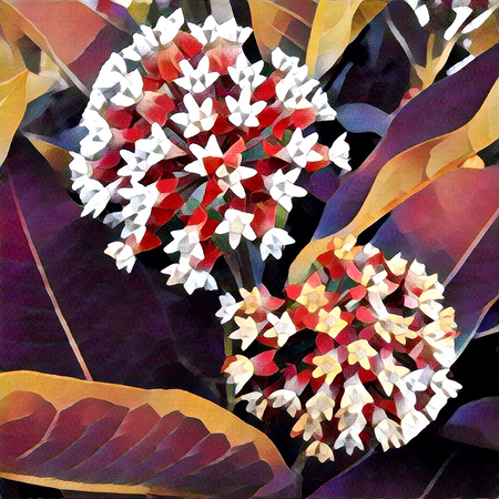 Beautiful digital flower illustration for romantic designの写真素材