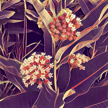 Beautiful digital flower illustration for romantic designの写真素材