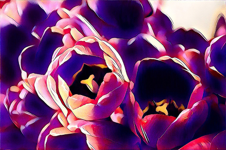 Beautiful toned tulip illustration for womans Day and romantic designの写真素材
