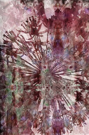 Watercolor floral collage.Onion flower silhouette on watercolor backgroundの写真素材