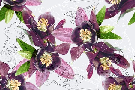 Floral seamless patternの写真素材