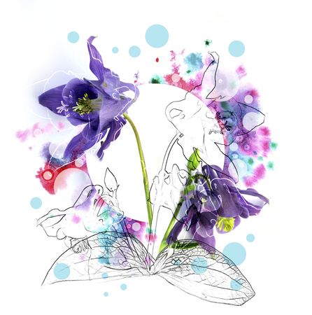 Fresh flower with pencil contour and watercolor splash on white background for invitation and t-shirt designの写真素材