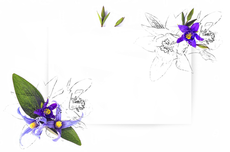 Template for invitation design with fresh flower and ink contourの写真素材