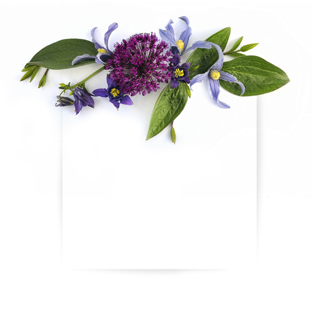 Template for invitation design with fresh flower and ink contourの写真素材