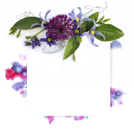 Template for invitation design with watercolor splash and fresh flower clematis and ink contourの写真素材