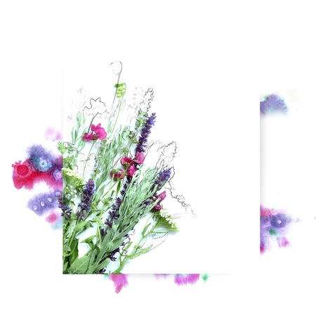 Template for invitation design with watercolor splash and fresh flower and ink contourの写真素材