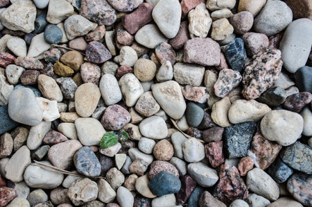 Close up of stone chips of various size and color