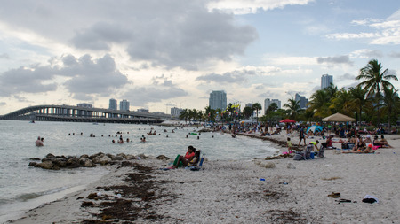 Biscayne bay beach in Miamiのeditorial素材