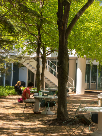 Two women reading books outdoor in summerのeditorial素材