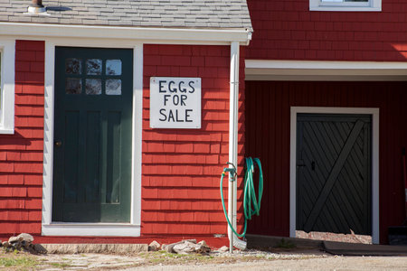 Eggs For Sale at Local Farm Free Range on Red Houseの写真素材