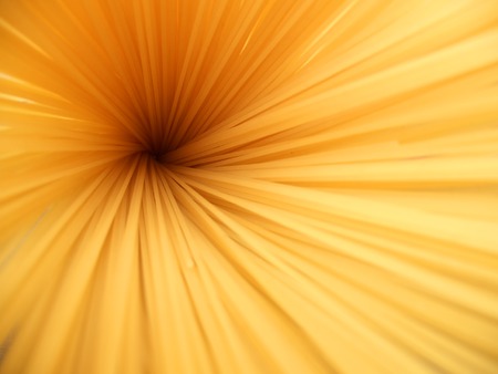 Uncooked spaghetti pasta creating a tunnelの写真素材