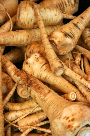 Harvested organic parsnip on a farmer market standの写真素材