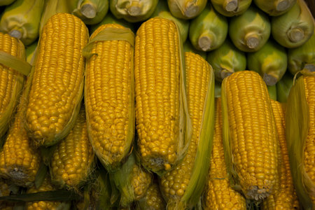 Corncobs on display in a market in Budapest, Hungary
