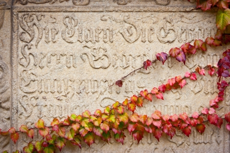 Tombstone partially covered by ivy, Bressanone, Trentino Alto Adige, Italyの写真素材