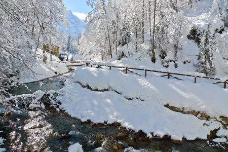 Fusine lakes' river in the Mangart mountain range, Friuli Venezia Giulia, Italyの写真素材