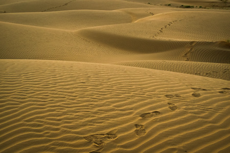 Footsteps on the  dunes at sunset in the desert near Jaisalmer, Rajasthan, Indiaの写真素材