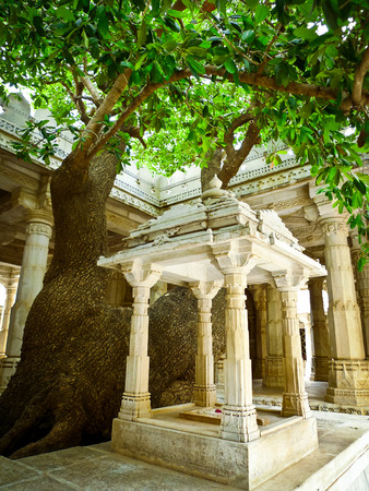 Tree in Ranakpur Jain temple, Rajasthan, Indiaの写真素材