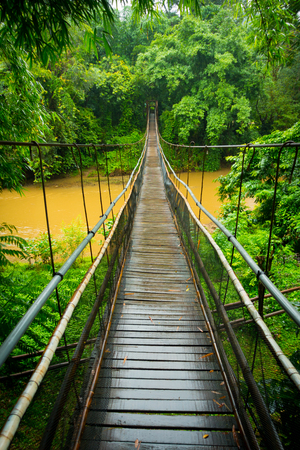 Central vertical view of a suspension cable bridge across a river in the jungle near Chiang Mai, Thailandの写真素材