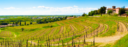 Panoramic view of vineyards and castle in Buttrio, Udine, Friuli, Italyの写真素材