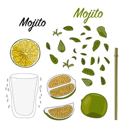 Set of fruits and mint leaves on a white background. Vector illustration.のイラスト素材