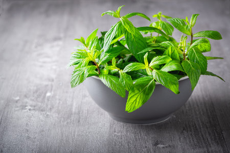 Mint in a plate on a gray wooden table.