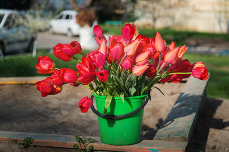 Beautiful spring flowers tulips in the bucket on city streetの写真素材