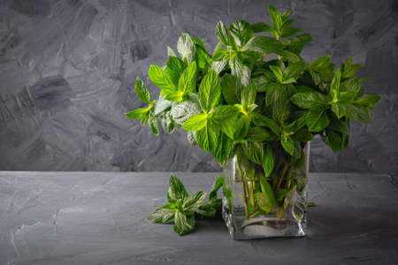 Fresh mint in glass vase on gray background. Copy Space for textの写真素材
