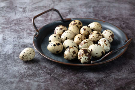 Quail eggs in a metal trayの写真素材