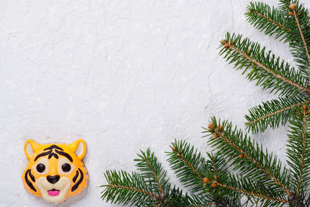 Christmas festive decor with a tiger and fir branches on a white backgroundの写真素材