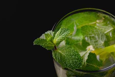 Refreshing summer alcoholic cocktail mojito with ice, fresh mint and limeの写真素材